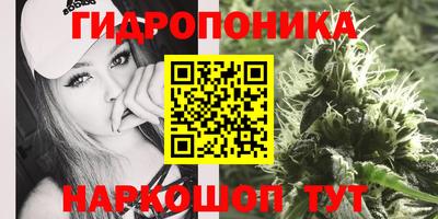 гидра Краснознаменск