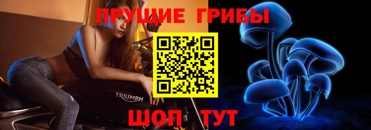 Псилоцибиновые грибы Cubensis  Вход с VPN  Шарыпово 